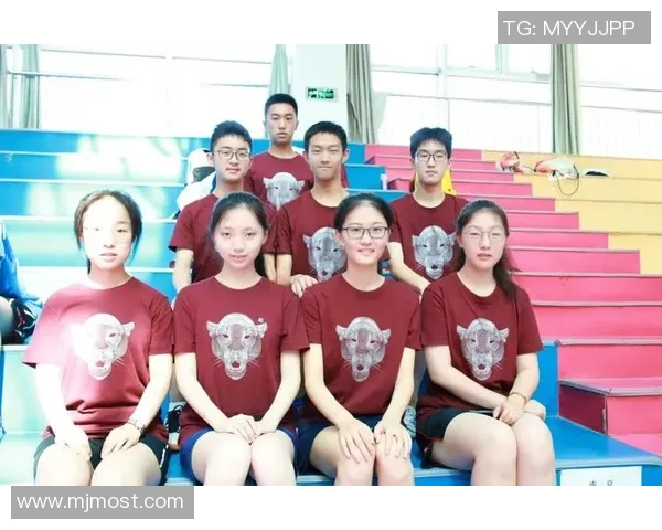 南京乒乓球队实力对比深度解析及未来发展趋势展望